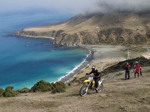 200315-terawhiti-station-windfarm-trail-ride