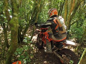201101-spicers-forest-trail-ride