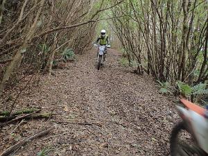 221009-tararua-forest-trail-ride