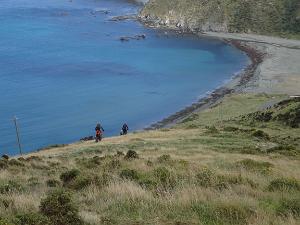 230219-terawhiti-station-trail-ride