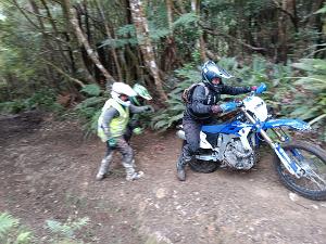 231022-tararua-forest-trail-ride
