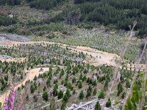 241208-rally-woods-trail-ride