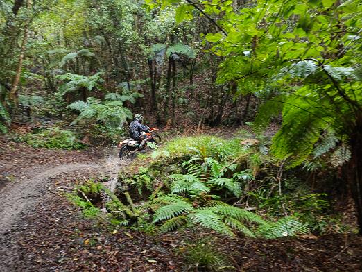 260705-tararua-trail-ride